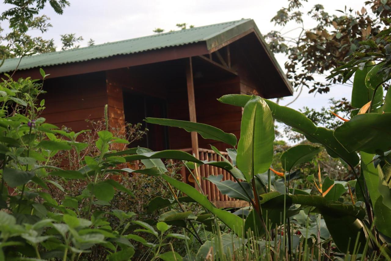 Villa Eco Granja Don Lolo Ciudad Quesada Exterior foto