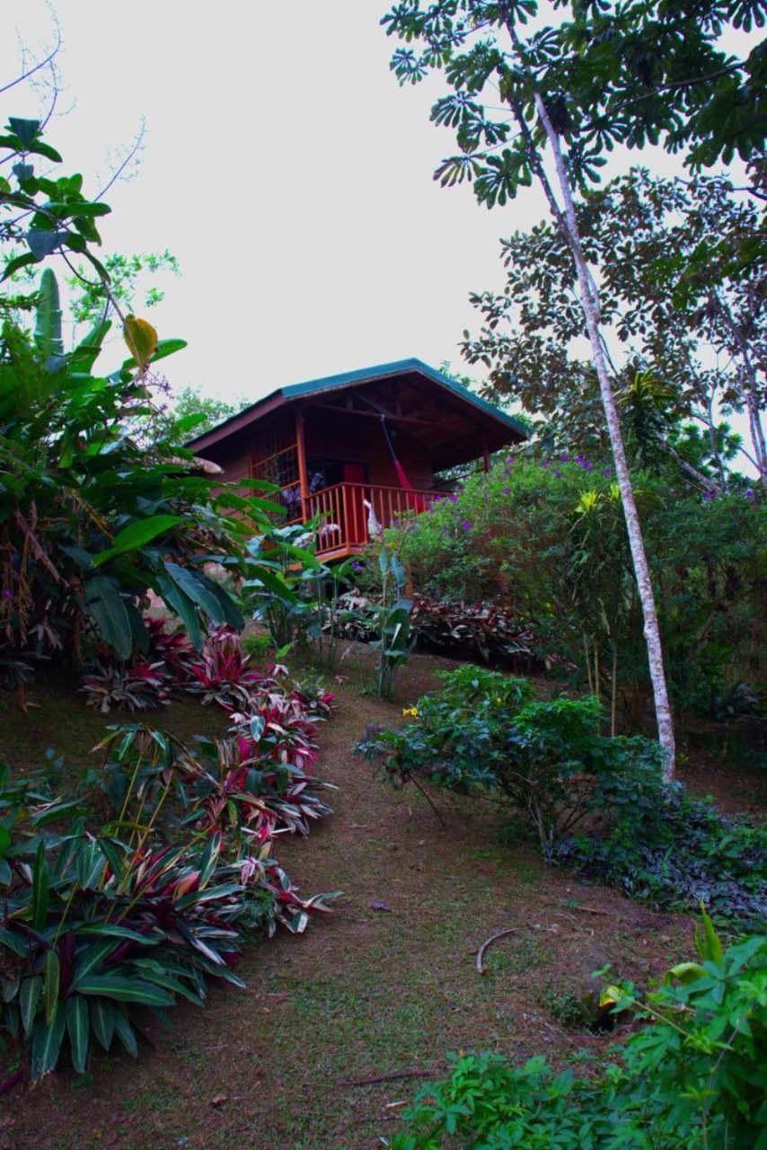 Villa Eco Granja Don Lolo Ciudad Quesada Exterior foto