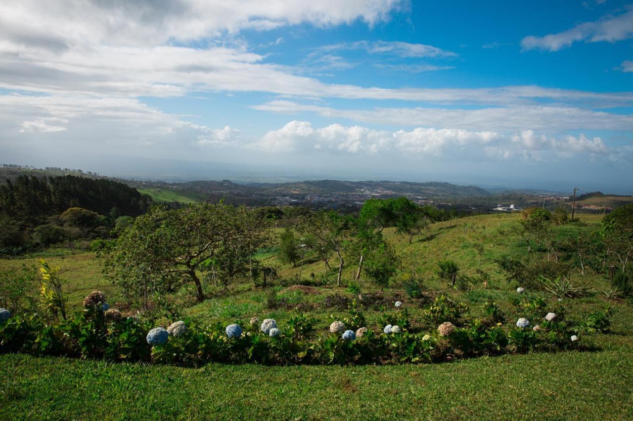 Villa Eco Granja Don Lolo Ciudad Quesada Exterior foto