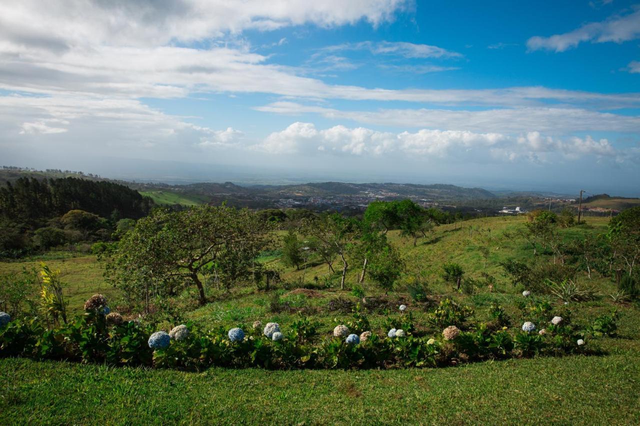 Eco Granja Don Lolo Villa Ciudad Quesada Exterior foto