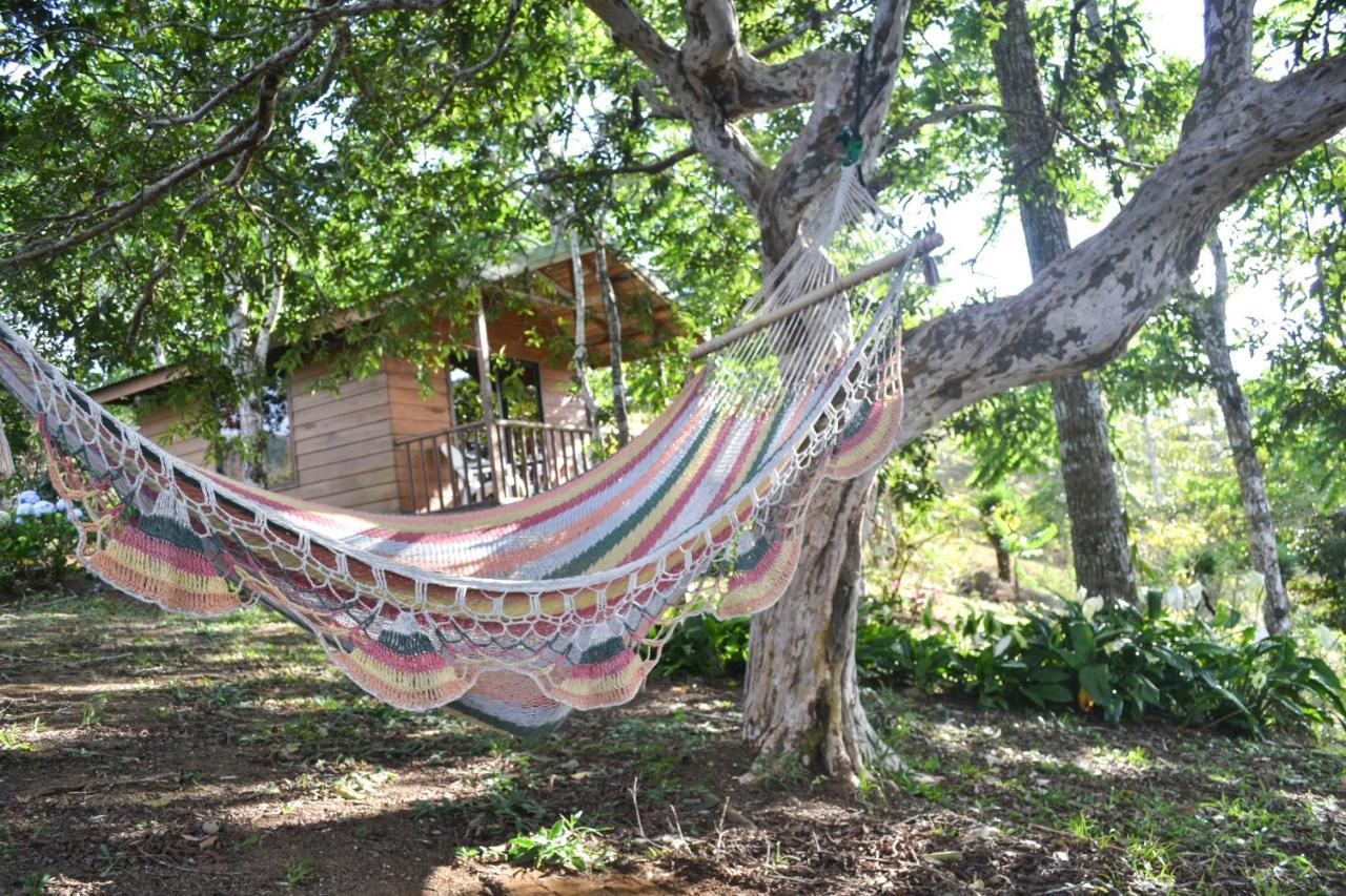 Villa Eco Granja Don Lolo Ciudad Quesada Exterior foto
