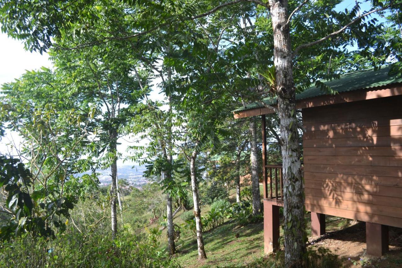 Villa Eco Granja Don Lolo Ciudad Quesada Exterior foto
